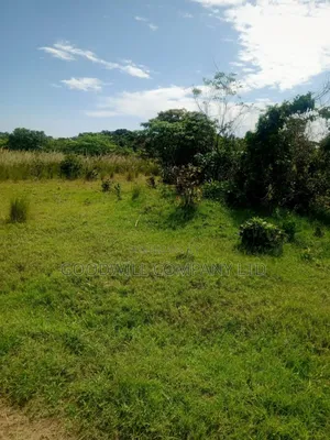50 Acres of Land in Masaka on Bukakata Road