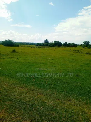 80 Acres of Land in Masaka on Bukakata Road Freehold Title
