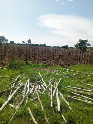 100 Acres of Land in Masaka on Bukakata Mukono Road