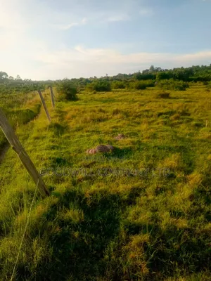 90 Acres of Land Luwunga Lusagazi Mawokota Masaka Road