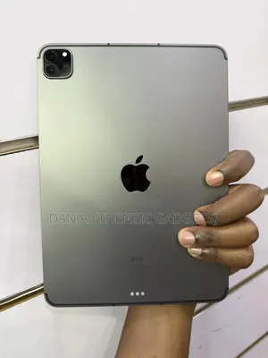 Apple iPad Pro 11 (2021) 256 GB Gray