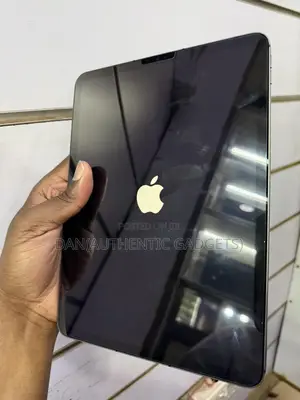 Apple iPad Pro 11 (2021) 256 GB Gray