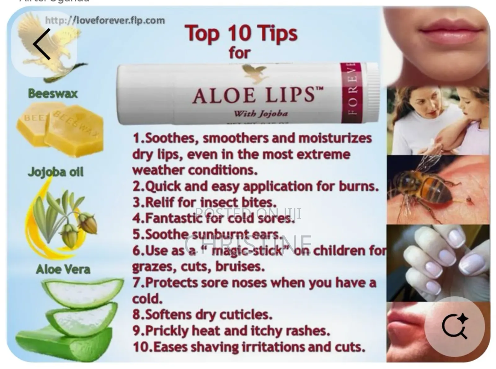 Forever Aloe Lips