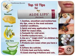 Forever Aloe Lips