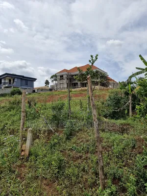 Sonde Misindye Hill View 50x100 Plot for Sale.