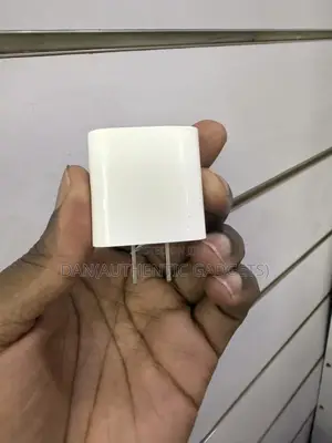 Usa Original iPhone Type C 20w Charging Bricks