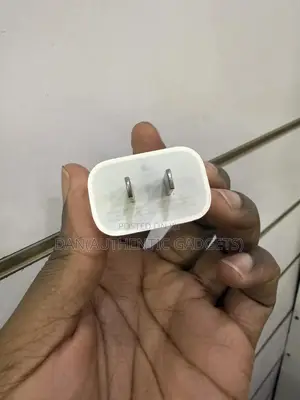 Usa Original iPhone Type C 20w Charging Bricks