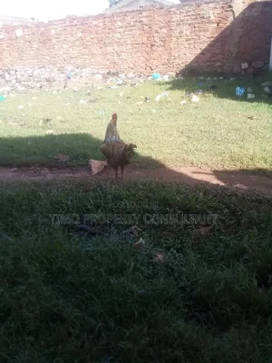 Aplot on Sell in Kawuku Entebbe Road