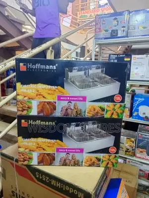 12l Hoffmans Electric Deep Fryer