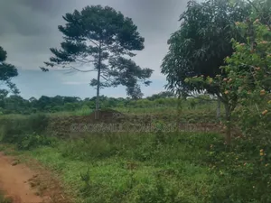 23 Acres of Land for Sale in Buwaampa Sese Nkokonjeru.