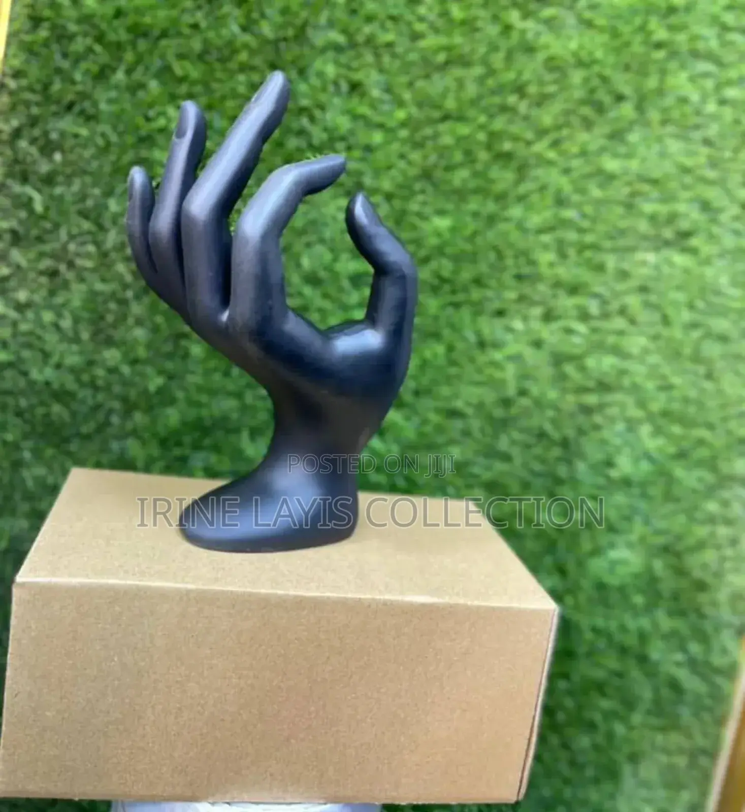 Watch and Ring Hand Display