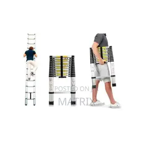Aluminum Telescopic Extension Ladder -Silver
