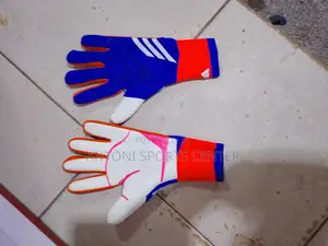 Goalkeeper Gloves Predetor