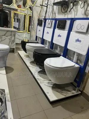 Concealed Toilets