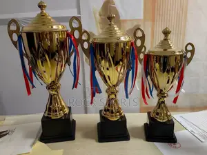 Winning Trophies (Set Of 3pcs)