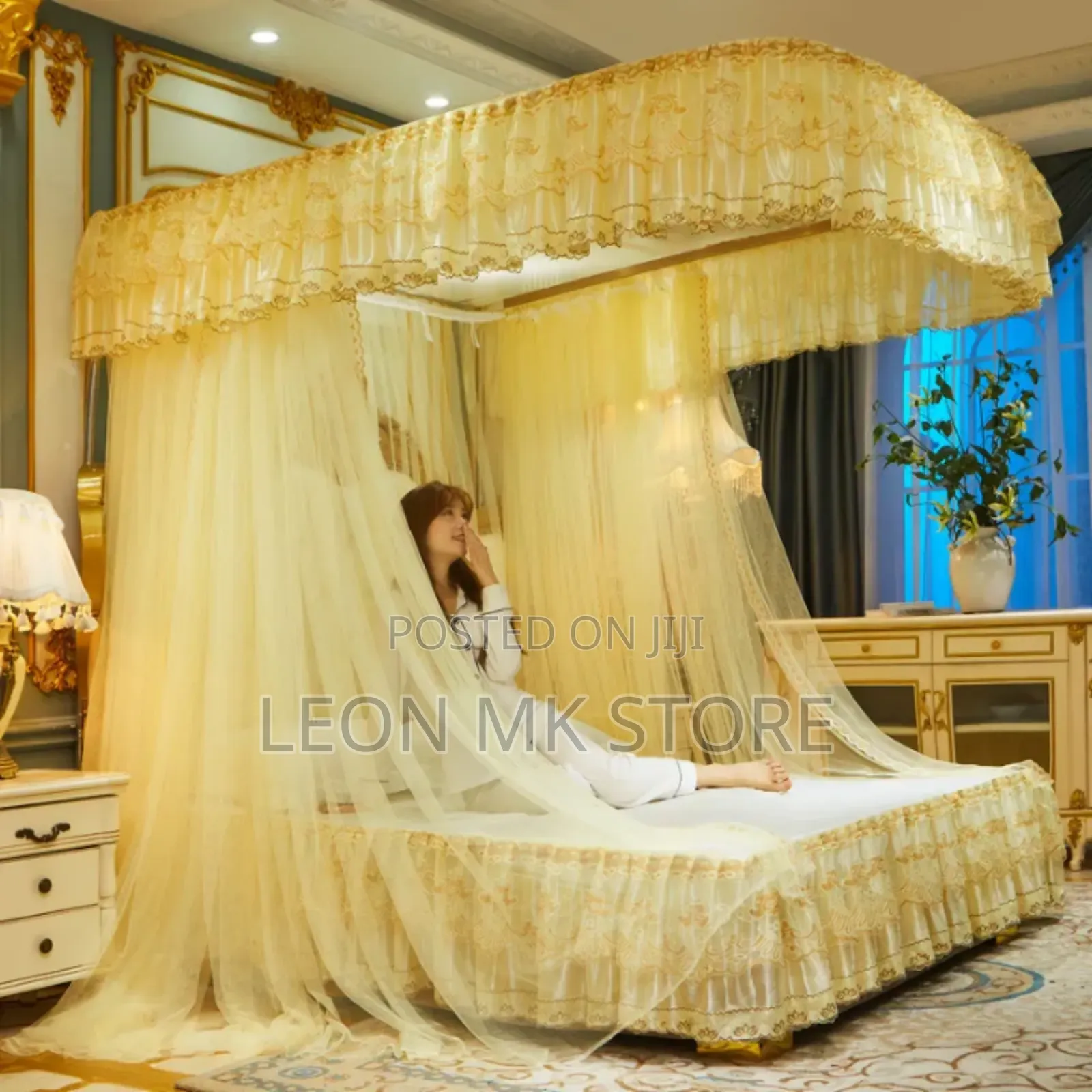 Portable 2stand Mosquito Nets