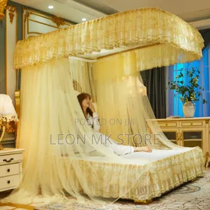 Portable 2stand Mosquito Nets