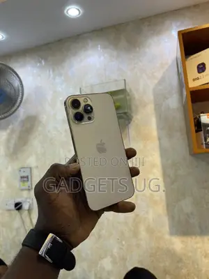 Apple iPhone 13 Pro Max 256 GB Rose Gold
