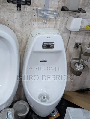 Automatic Smart Urinal