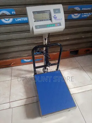Foldable Platform Weighing Scale 150kg Weigh Digital Weighing Scale
