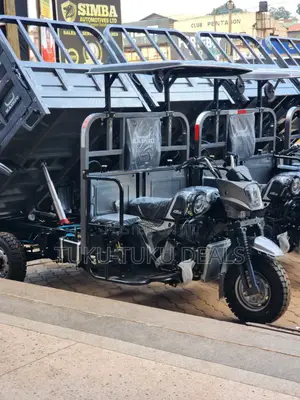 New Tricycle 2025 Gray