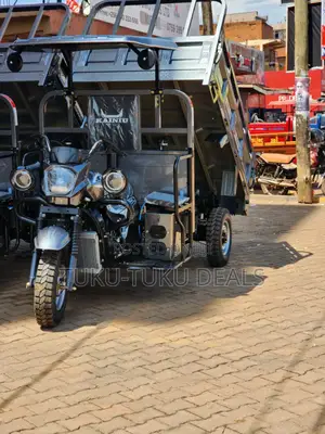 New Tricycle 2025 Gray