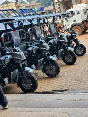 New Tricycle 2025 Gray
