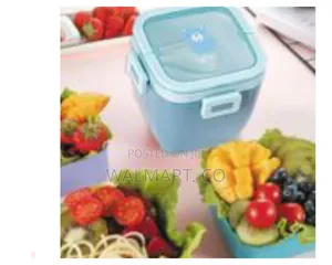 Portable Microwaveable Plastic Double Layer Bento Lunch Box