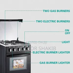 Winning Star Electric Cooker With Gas Burners