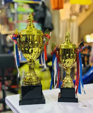 Winning Trophies Sports (Set Of 2pcs)