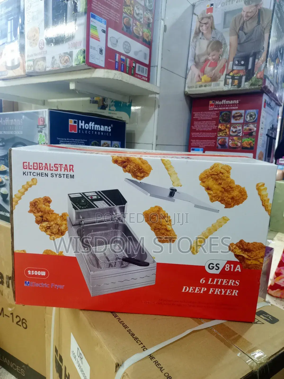 Globalstar Gs81a 6l Electric Deep Fryer.
