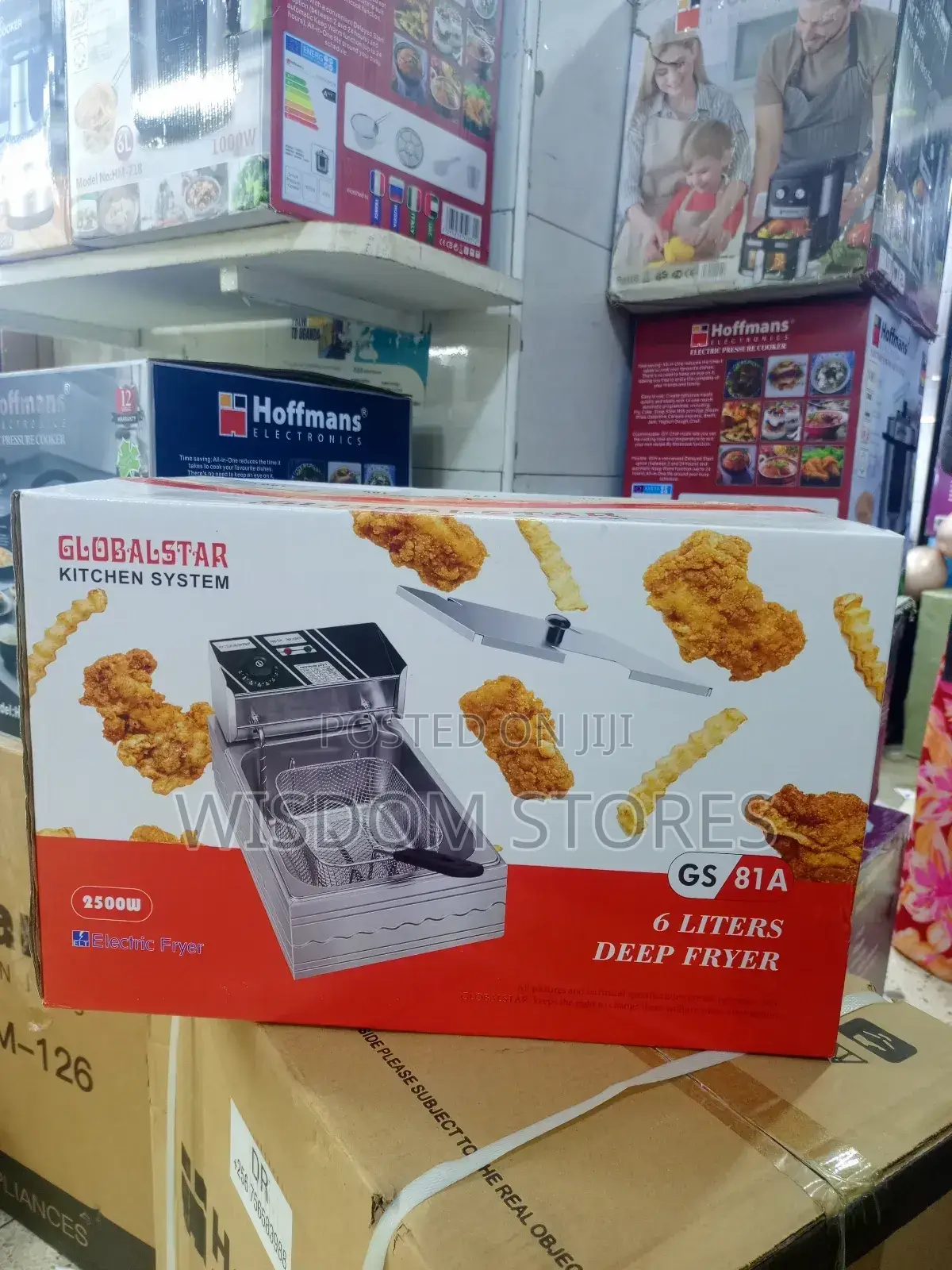 Globalstar Gs81a 6l Electric Deep Fryer.