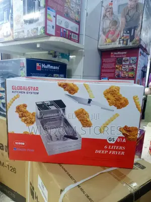 Globalstar Gs81a 6l Electric Deep Fryer.