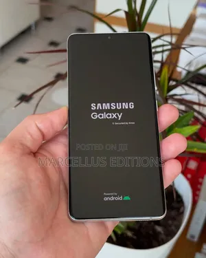 Samsung Galaxy S21 Ultra 5G 128 GB Silver