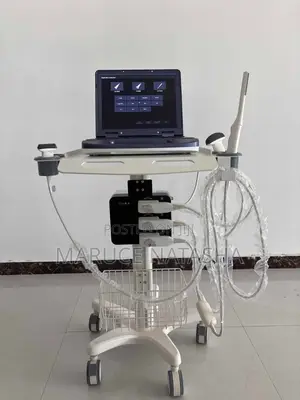 Rechargeable Portable High End Ultrasound Scan With Three Probes