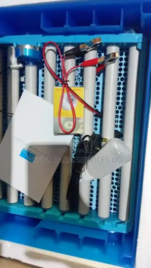 256 Egg Incubator