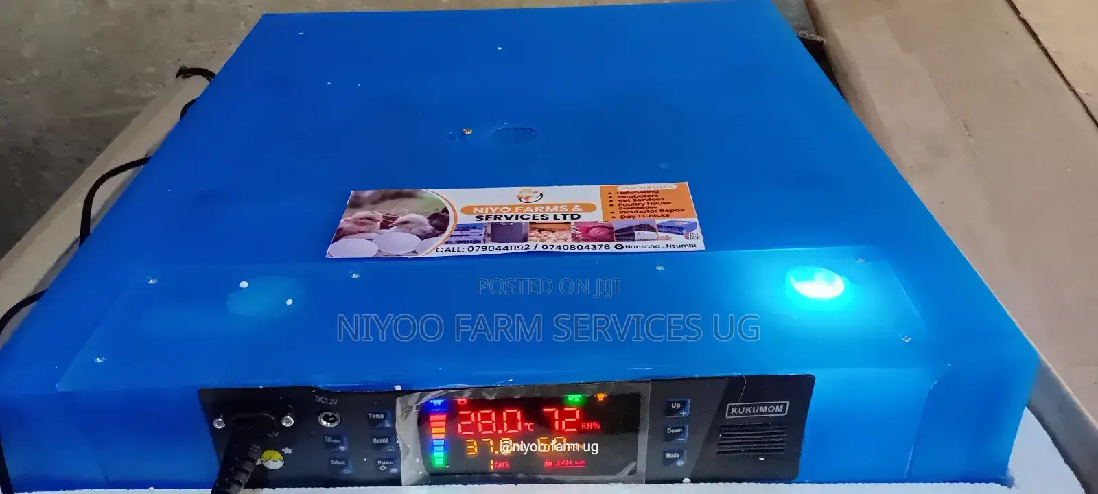 256 Egg Incubator