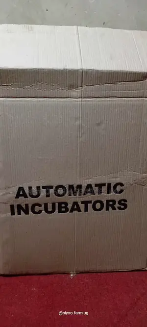 256 Egg Incubator