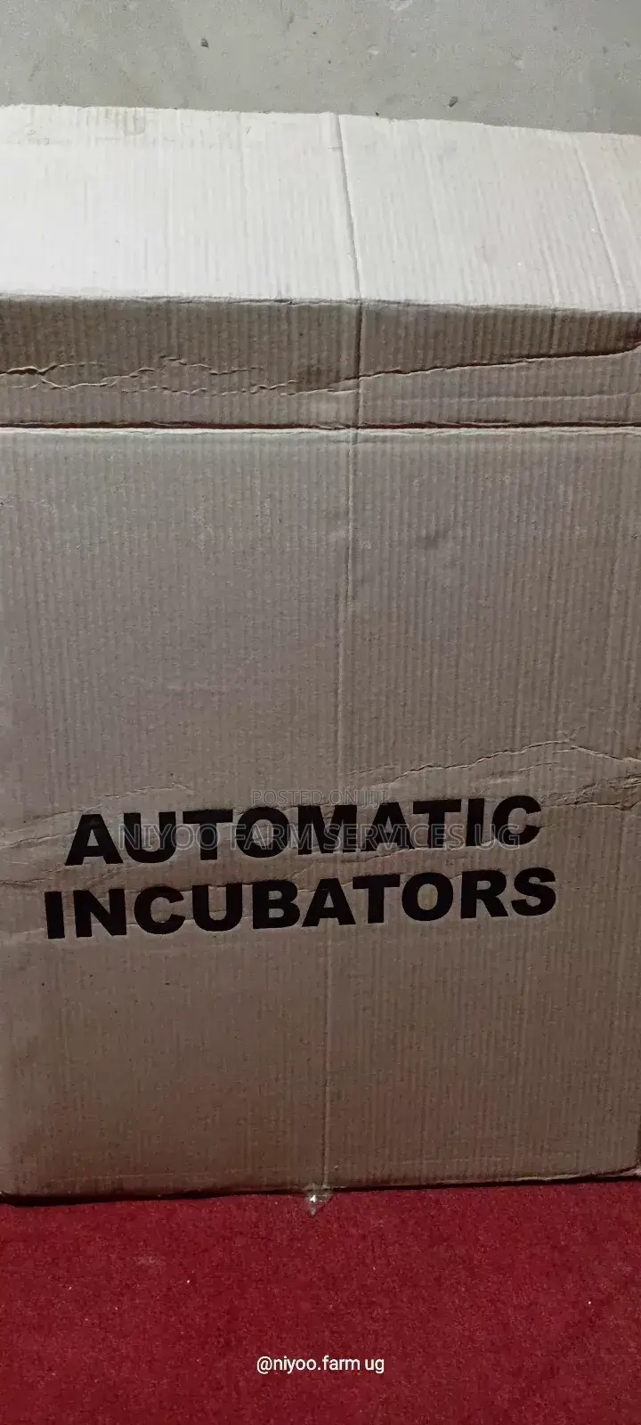 256 Egg Incubator