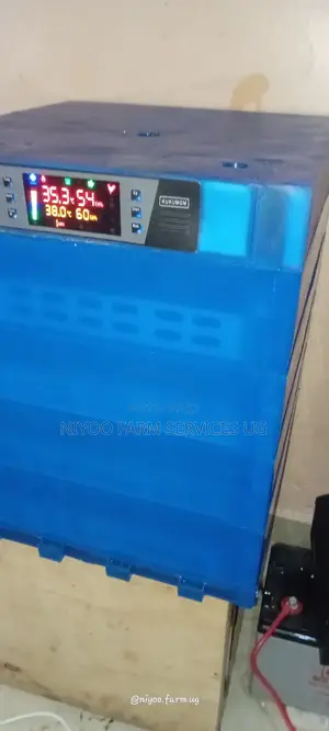 256 Egg Incubator