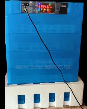 320 Eggs Incubator