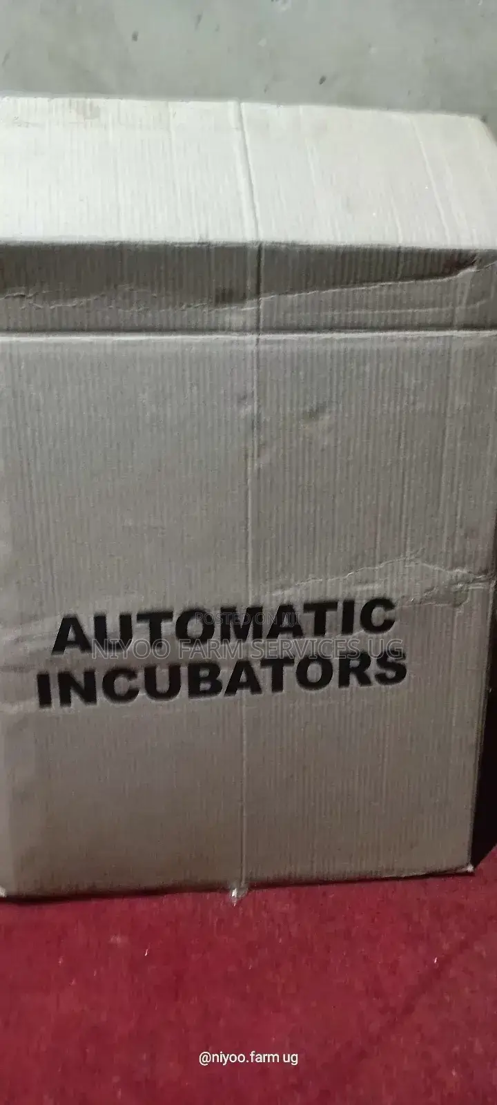320 Eggs Incubator