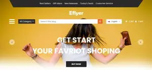 Website Design and Developement