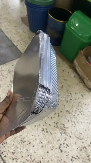 25pcs Disposable Silver Plates