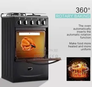 Winning Star Electric Cooker With Gas Burners