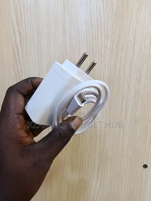 Oppo 80 Watts Charger
