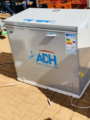 Electric Freezer /Commercial /Business Freezer/ 250liters