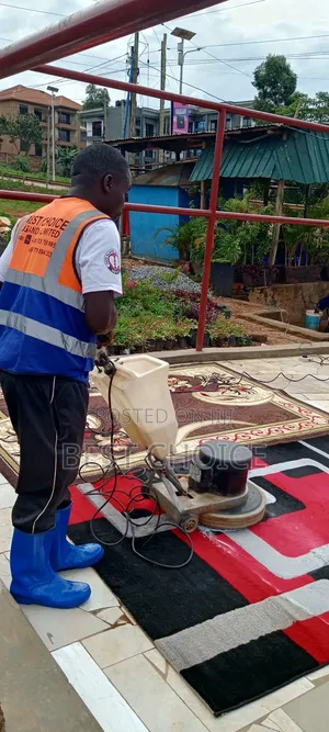 Carpet Cleaning Experts for Simplified, Carpet Cleaning Services