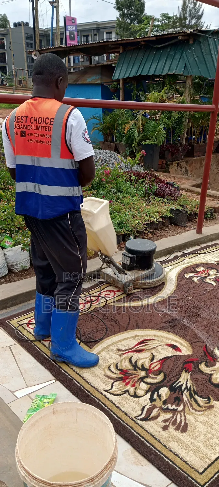 Carpet Cleaning Experts for Simplified, Carpet Cleaning Services