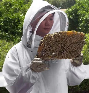 Bee Keeping Protective Suit With Gloves